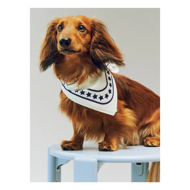 Dog bandana | Off-White
