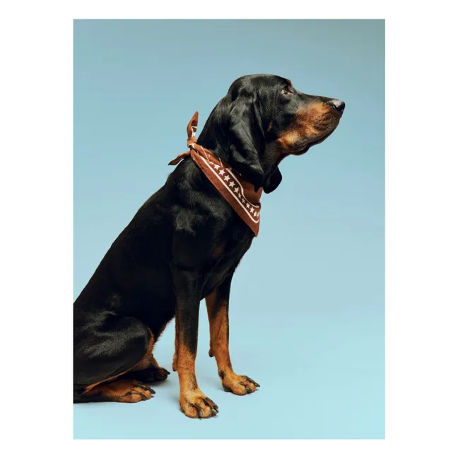 Dog bandana | Brown