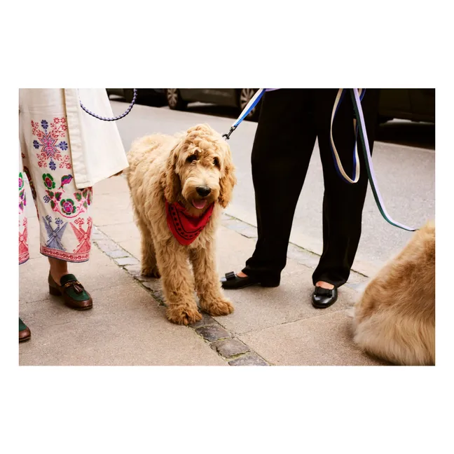 Bandana pour chien | Rouge