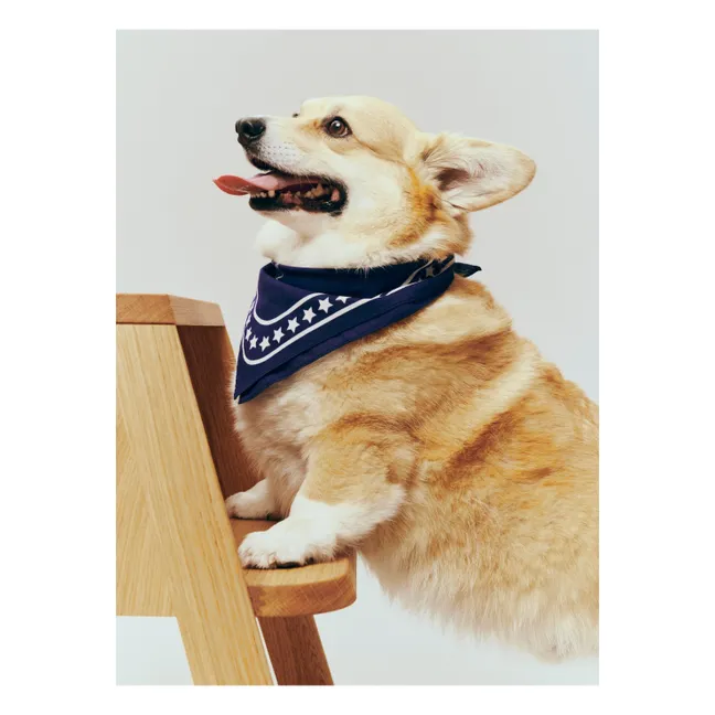 Dog bandana | Blue