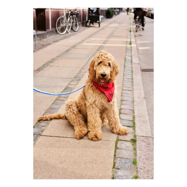 Bandana para perro | Rojo