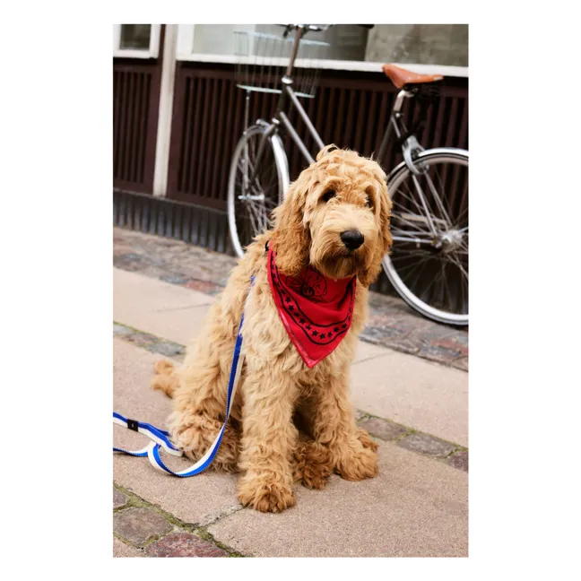 Dog bandana | Red