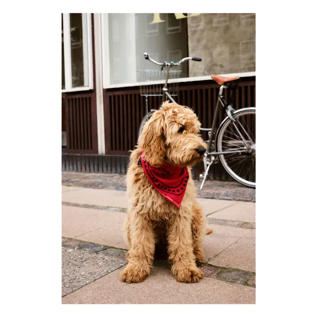 Dog bandana | Red