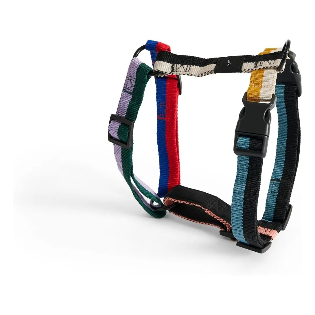 Hay Multicoloured Harnesses