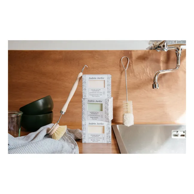 Grapefruit solid dishwashing detergent