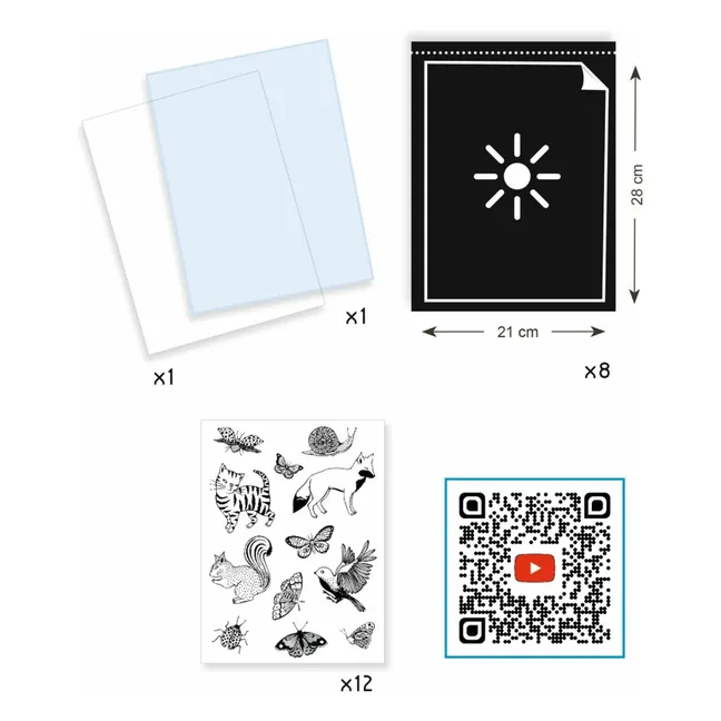 Mon premier kit Cyanotype