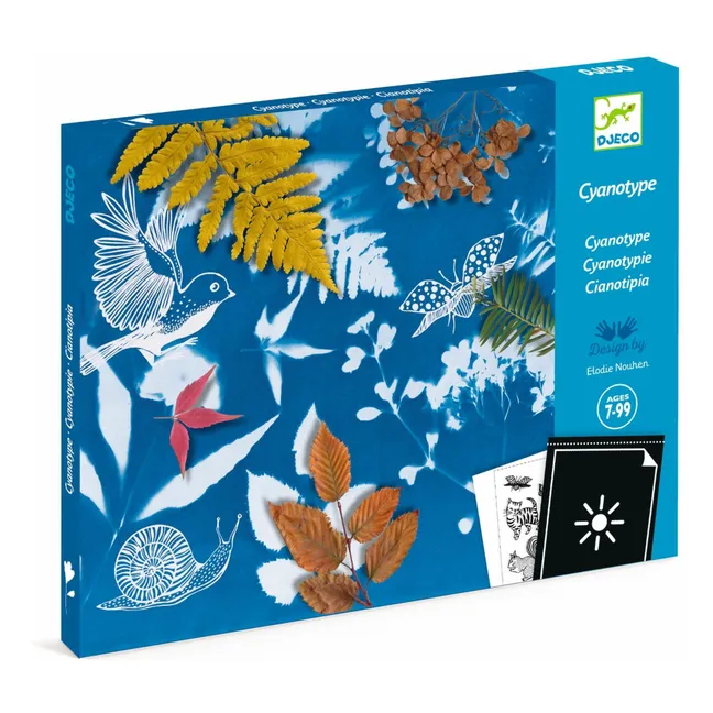 Mon premier kit Cyanotype