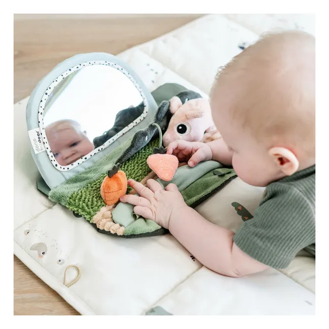 Lernspiegel Tiny Farm