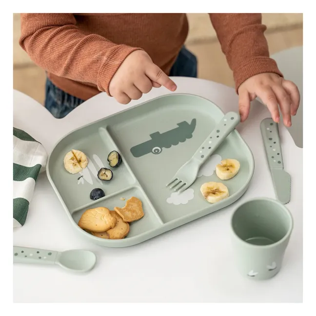 Croco compartmentalized plate | Sage