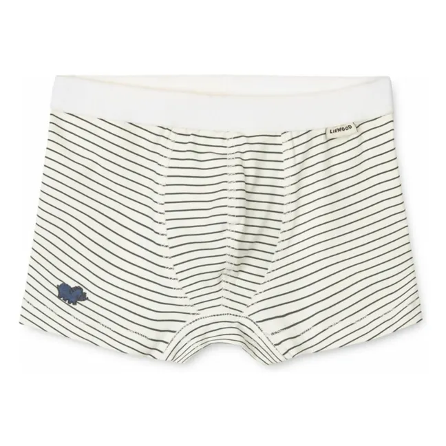 Lot 3 Boxers Marvin Coton Bio | Ecru