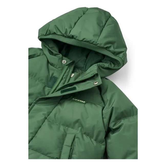 Adelina Recycled Fiber Down Jacket | Green