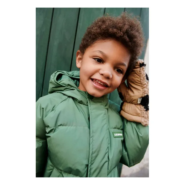 Adelina Recycled Fiber Down Jacket | Green