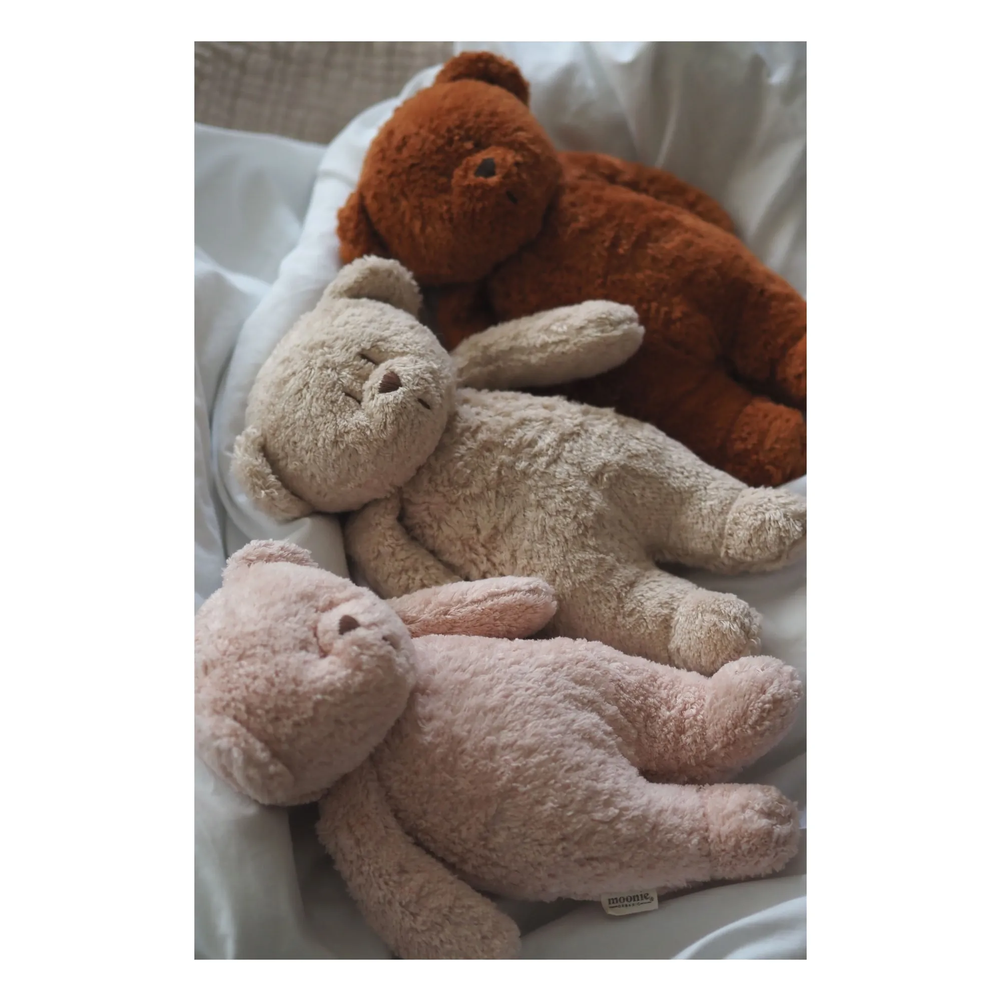 Peluche Ourson veilleuse musicale  | Blush- Image produit n°1