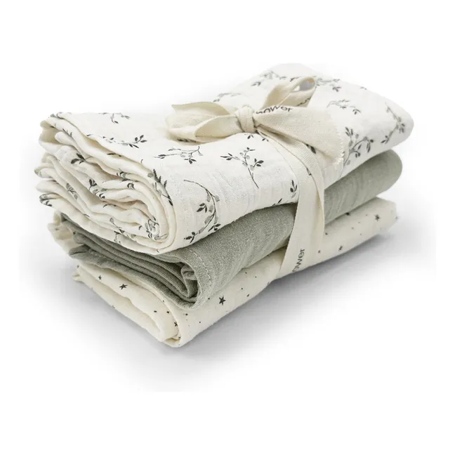 Langes Olive - Set de 3 | Ecru