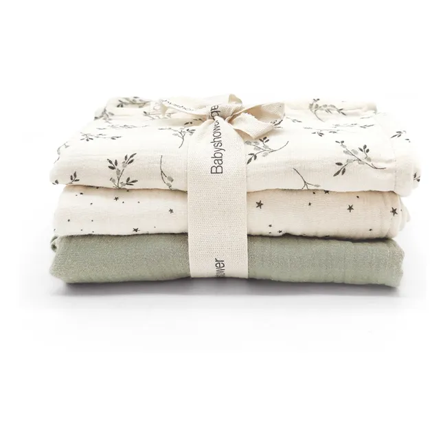 Langes Olive - Set de 3 | Ecru