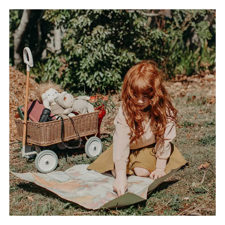 Chariot en rotin- Image produit n°6