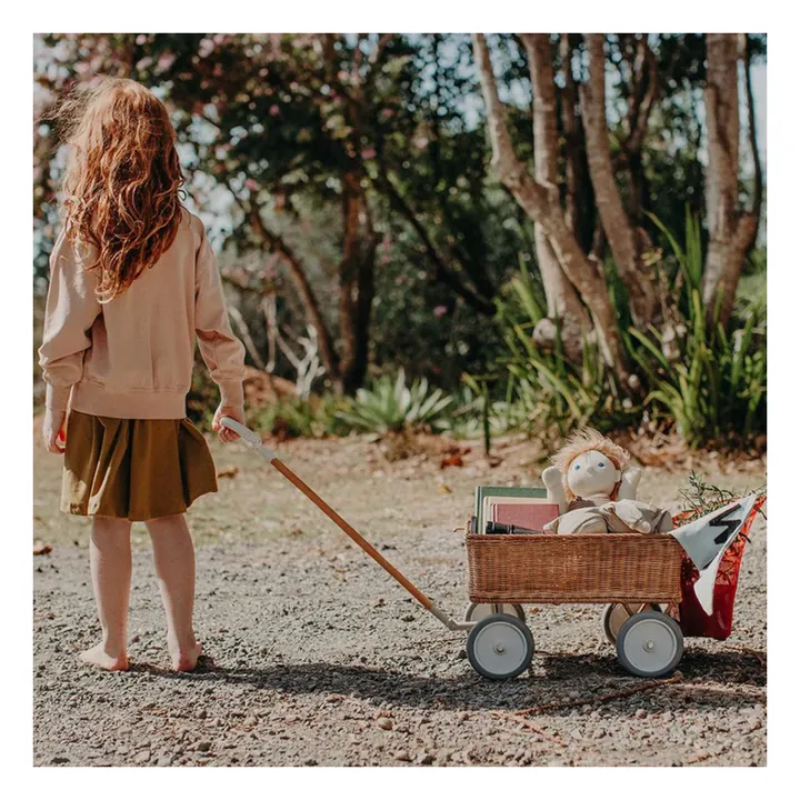 Chariot en rotin- Image produit n°1
