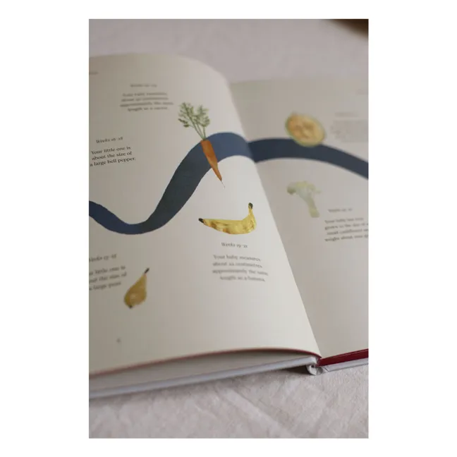 Journal de grossesse My Pregnancy - EN | Graublau