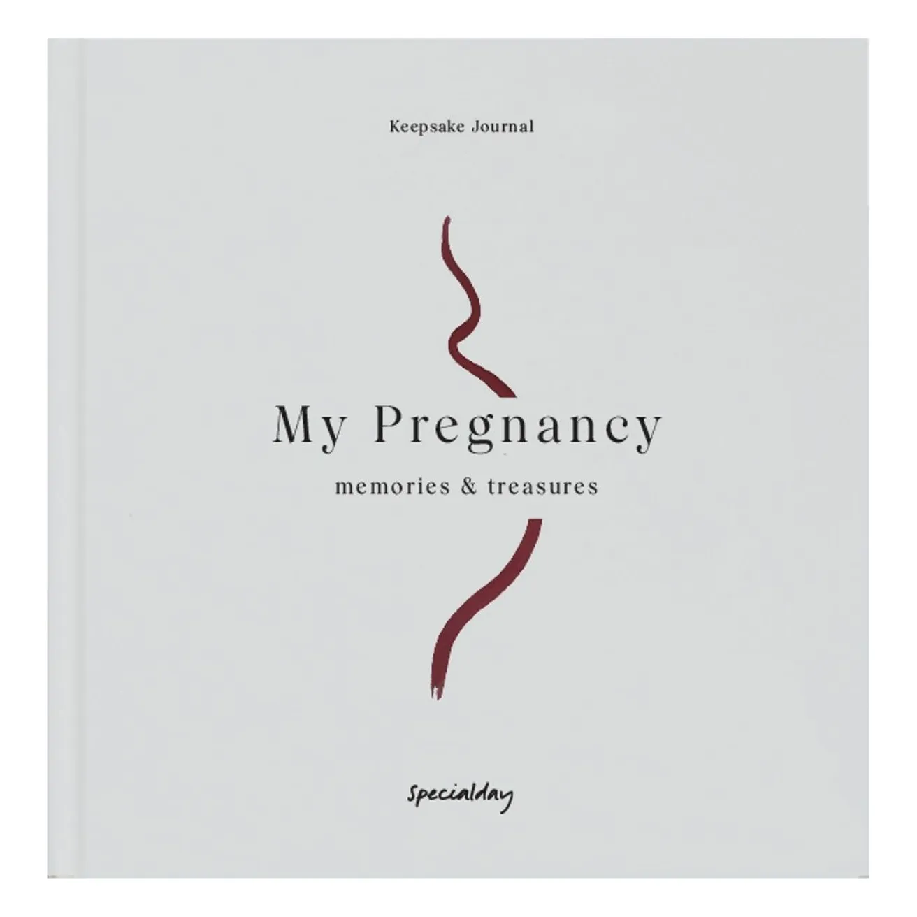 Specialday Grey Blue My Pregnancy Diary - En