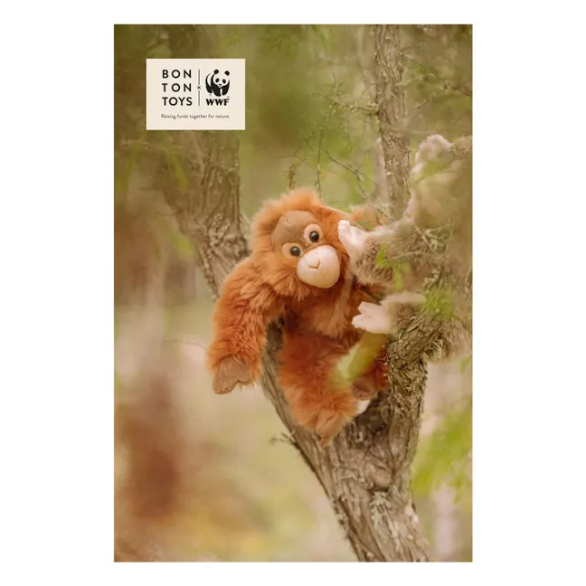 WWF - Orang Outang Plüschtier | Orange