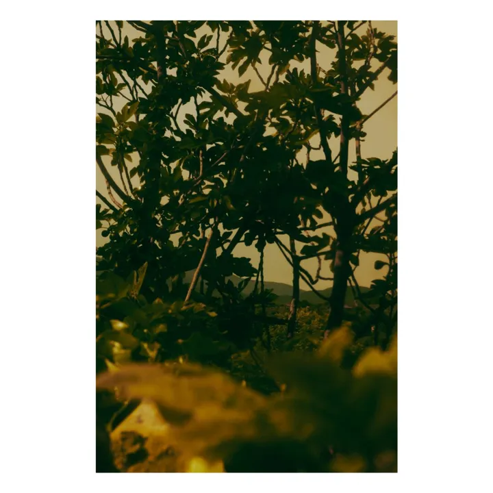 Eau de Parfum Virēre - 50ml- Produktbild Nr. 2