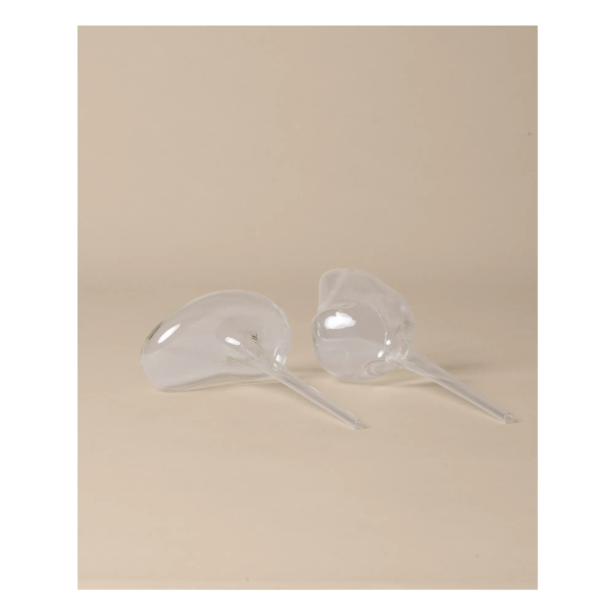 Globes d'arrosage - Set de 2 - Image produit n°2