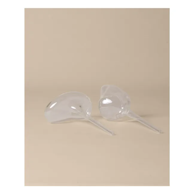 Globes d'arrosage - Set de 2 