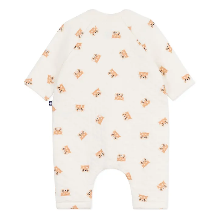 Gatos combinados | Crudo- Imagen del producto n°1