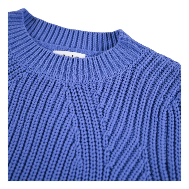 Pull Gillis Coton Bio | Bleu