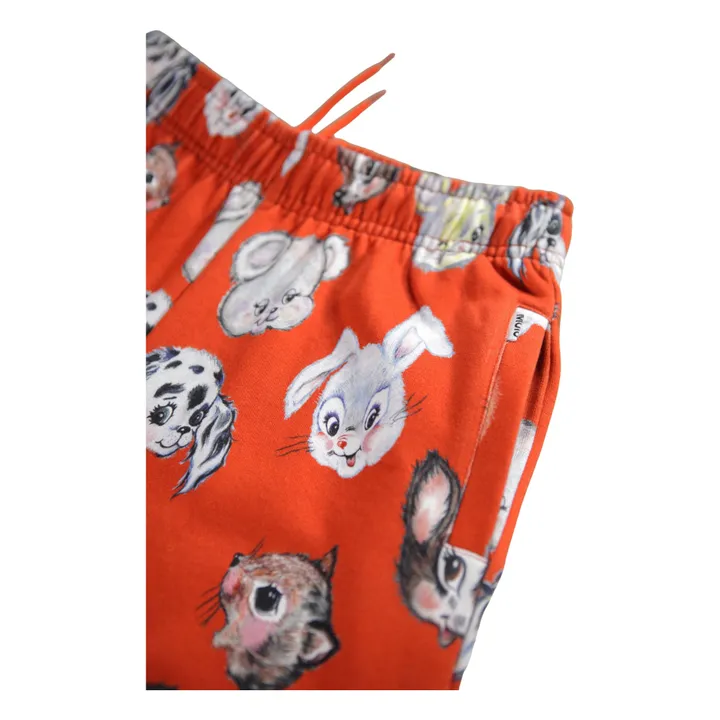 Jogger Adan Coton Bio | Orange- Image produit n°2