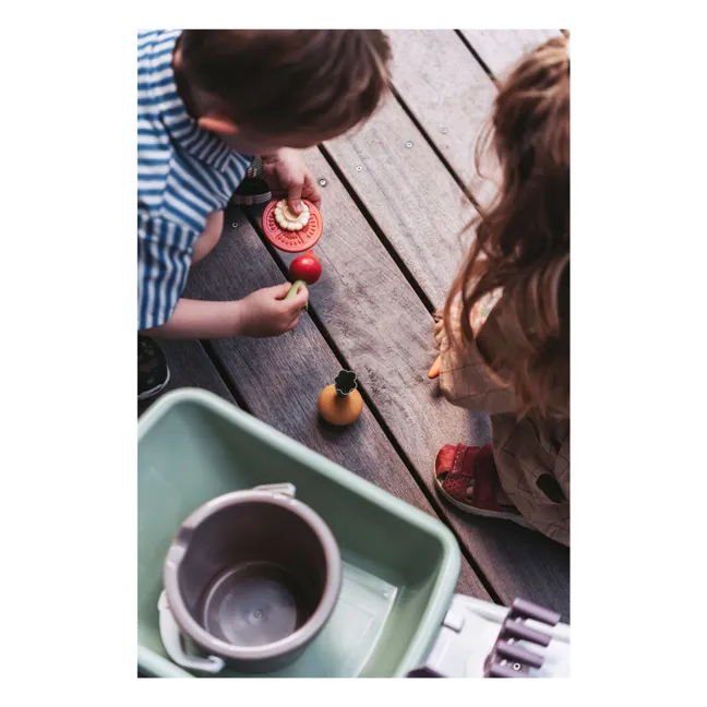 Frutas y verduras de bioplástico - Lote de 10