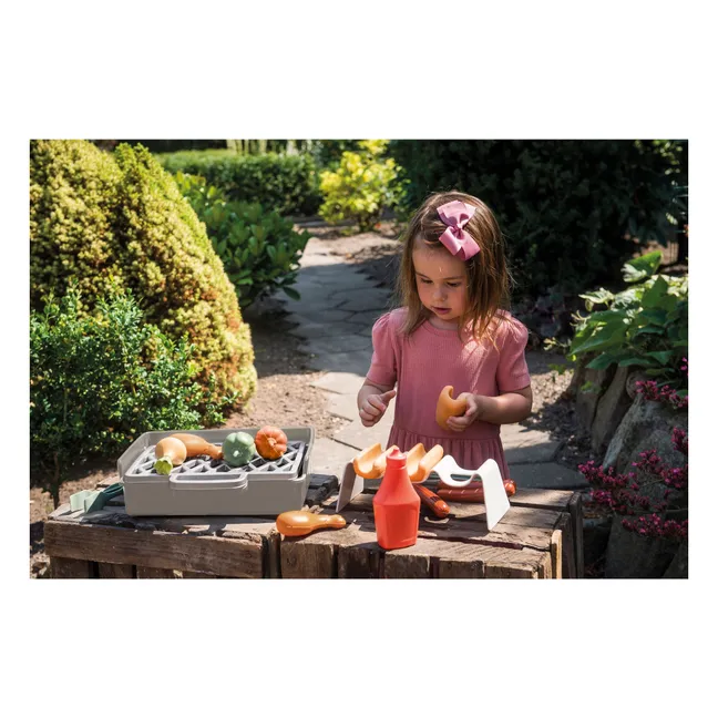 Kit de barbecue en bioplastique