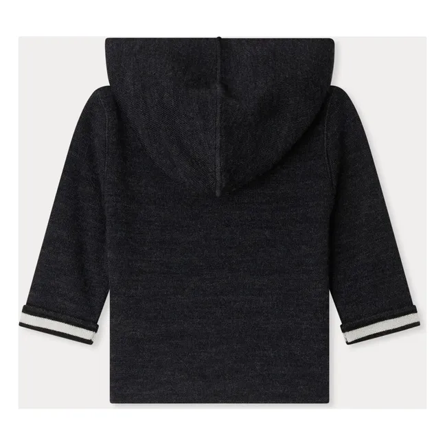 Sweat à Capuche Alexandros Laine | Gris