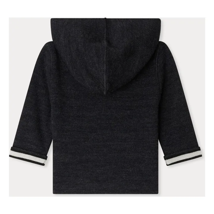 Sweat à Capuche Alexandros Laine | Gris- Image produit n°4
