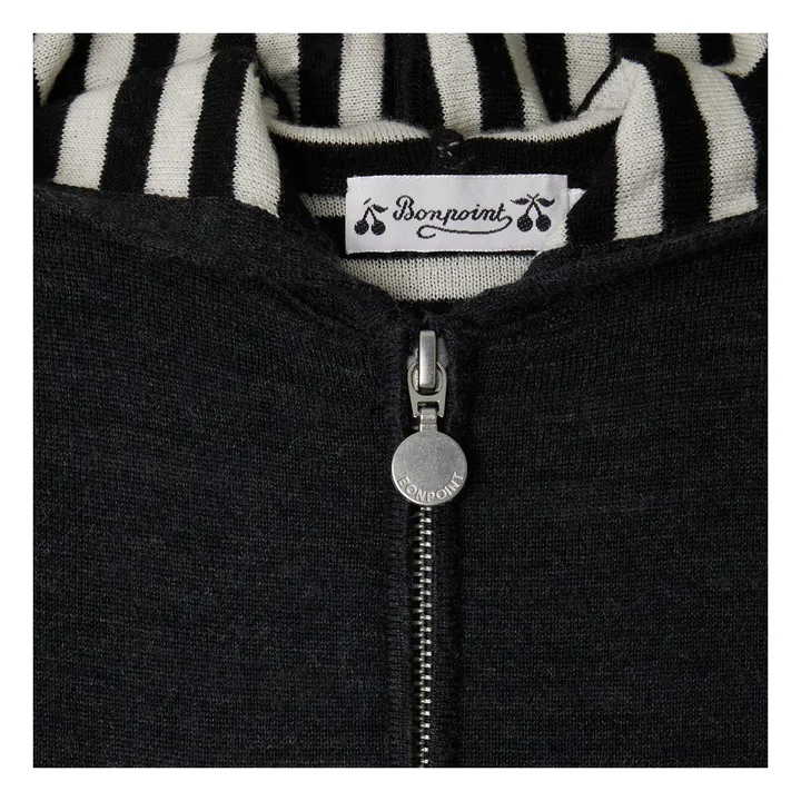 Sweat à Capuche Alexandros Laine | Gris- Image produit n°2