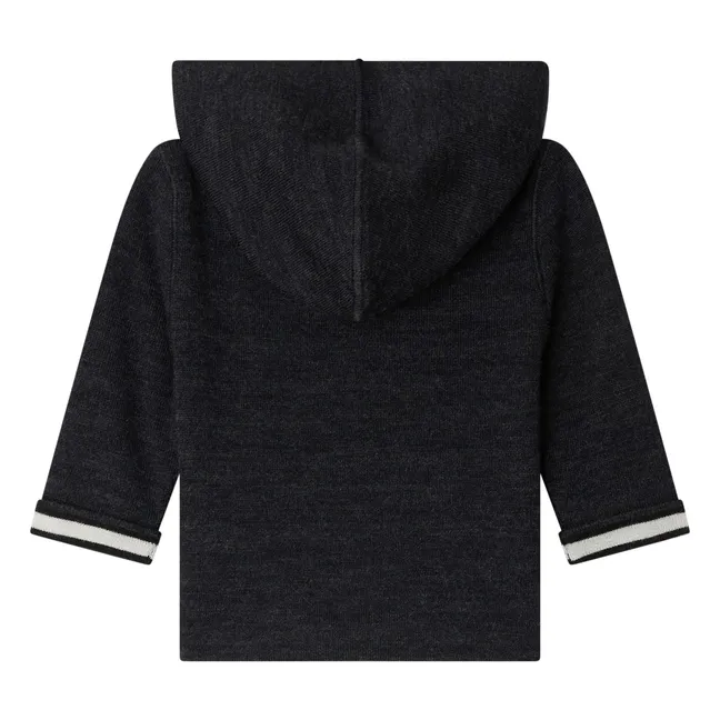 Sweat à Capuche Alexandros Laine | Gris