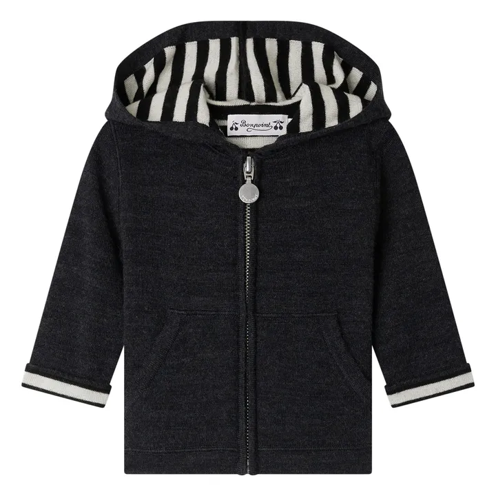 Sweat à Capuche Alexandros Laine | Gris- Image produit n°0