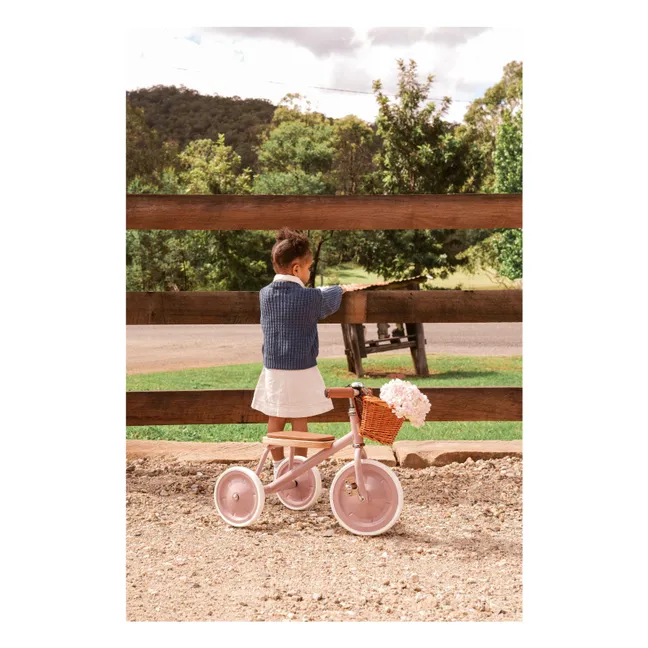 Metal and wood tricycle | Dusty Pink