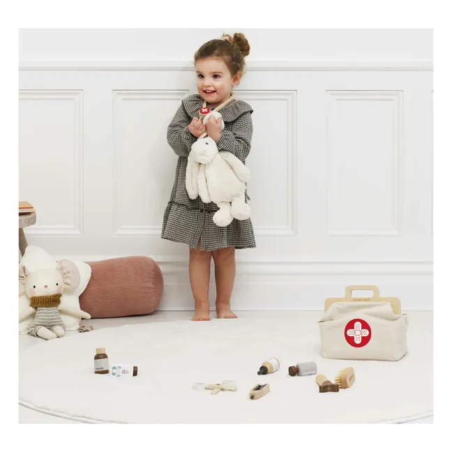 Mallette de vétérinaire et ses accessoires