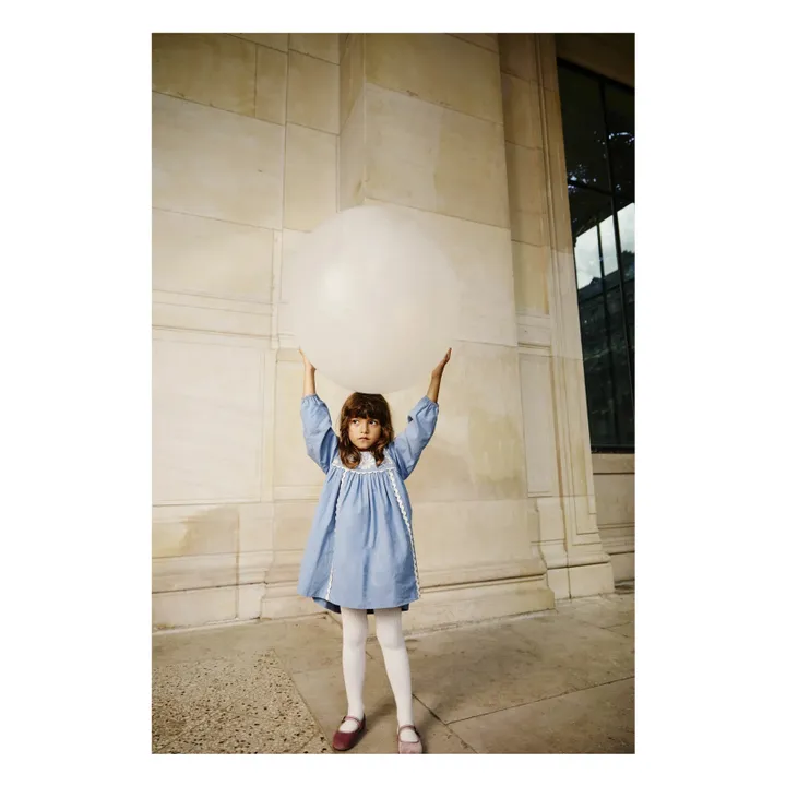 Robe Linoa Brodée | Bleu- Image produit n°4