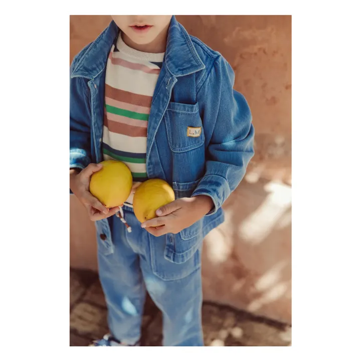 Veste en Jean Raphael Coton Bio | Denim- Image produit n°1