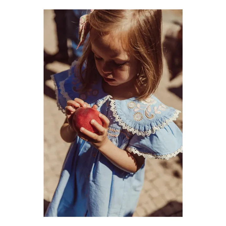 Robe Nalina Chambray Coton Bio | Bleu ciel- Image produit n°3