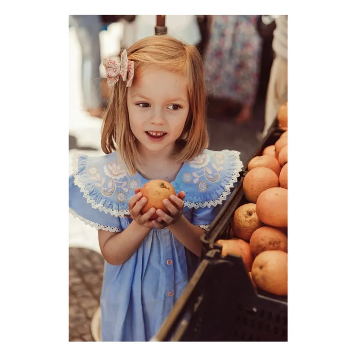 Robe Nalina Chambray Coton Bio | Bleu ciel- Image produit n°2