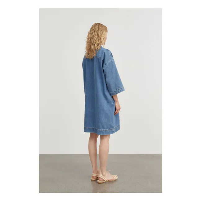 Alba dress | Blue
