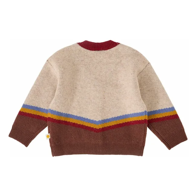 Varsity Cardigan | Brown