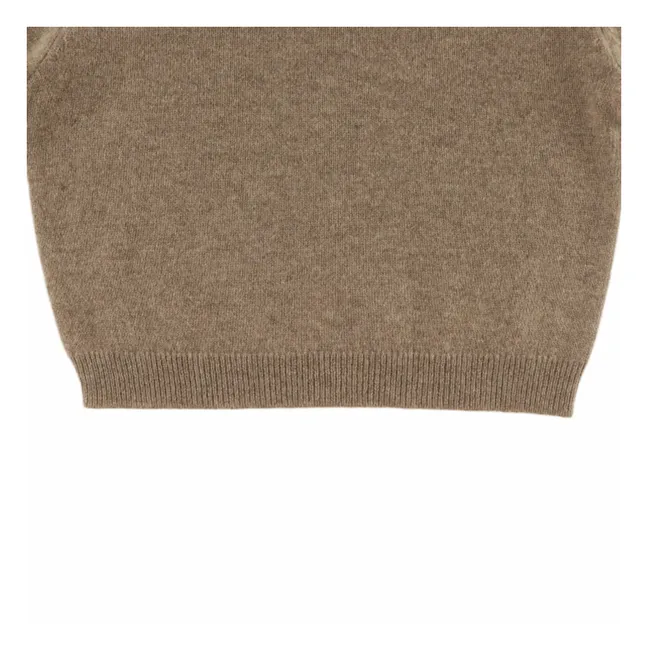 Pull Collyns Cachemire | Marron