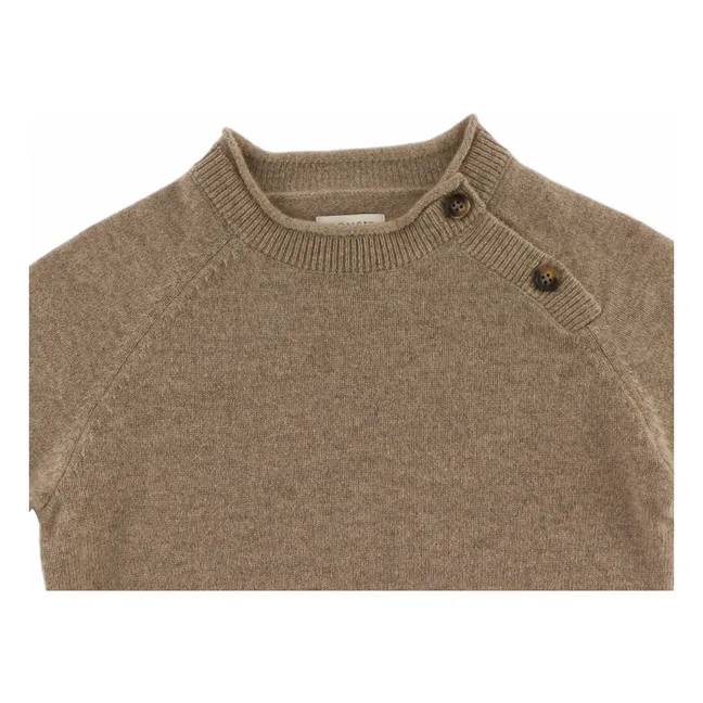 Pull Collyns Cachemire | Marron