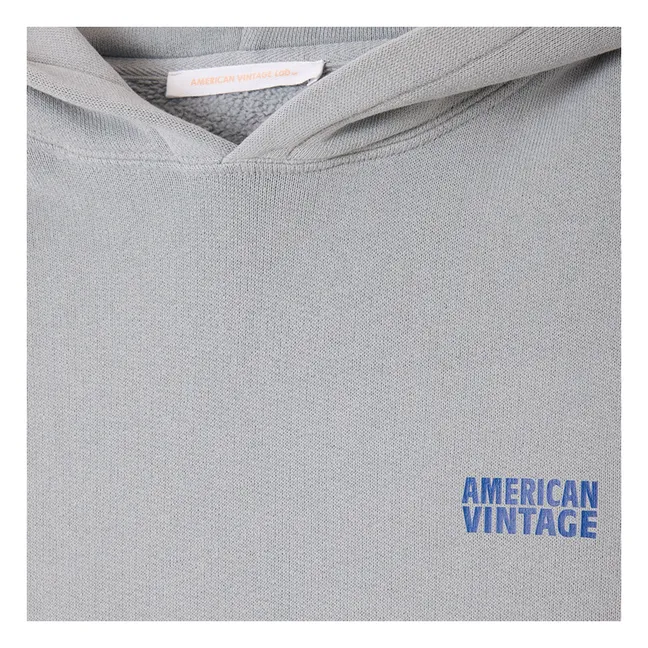 Sweat Capuche Izubird | Gris clair