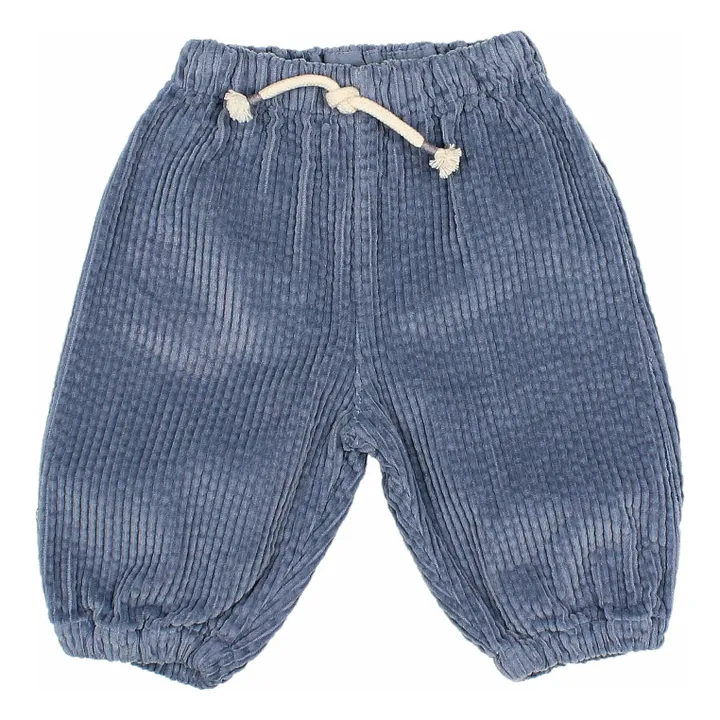 Pantalon Cordon Velours Côtelé | Bleu gris- Image produit n°0