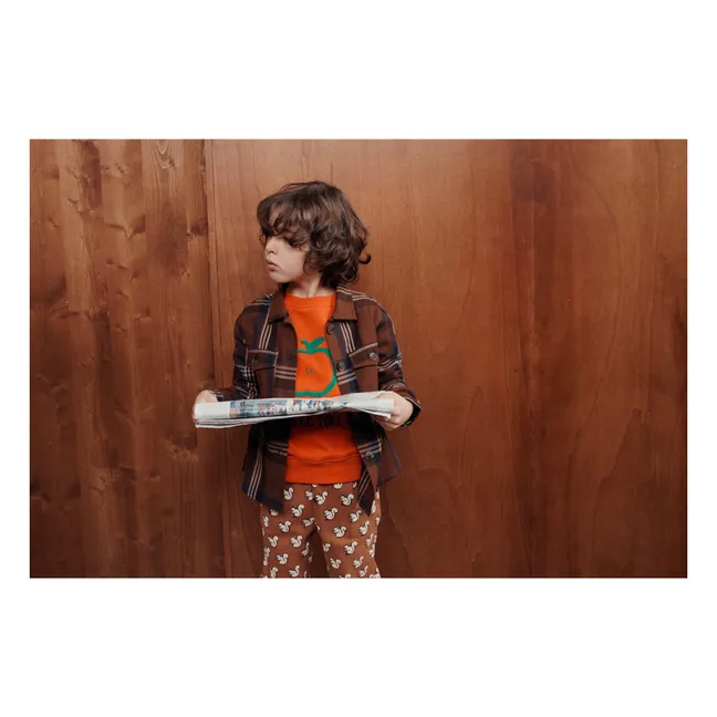 Chemise Carreaux Flanelle | Marron